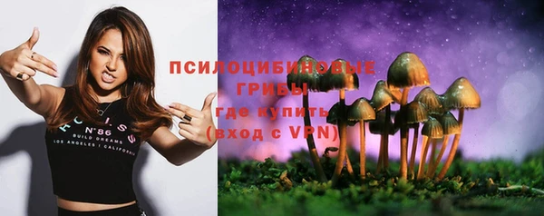 первитин Арсеньев
