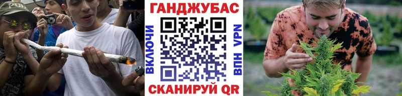 купить наркотик  Ростов  Конопля сатива 